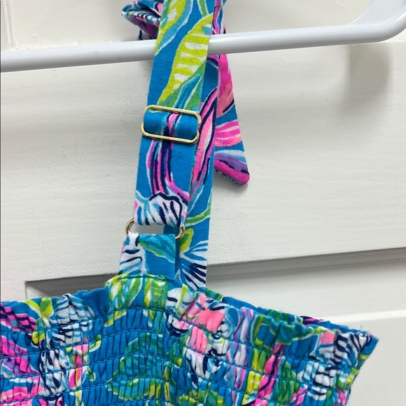 Lilly Pulitzer Kids Dress - Blue and Pink Floral - Picture 8 of 11